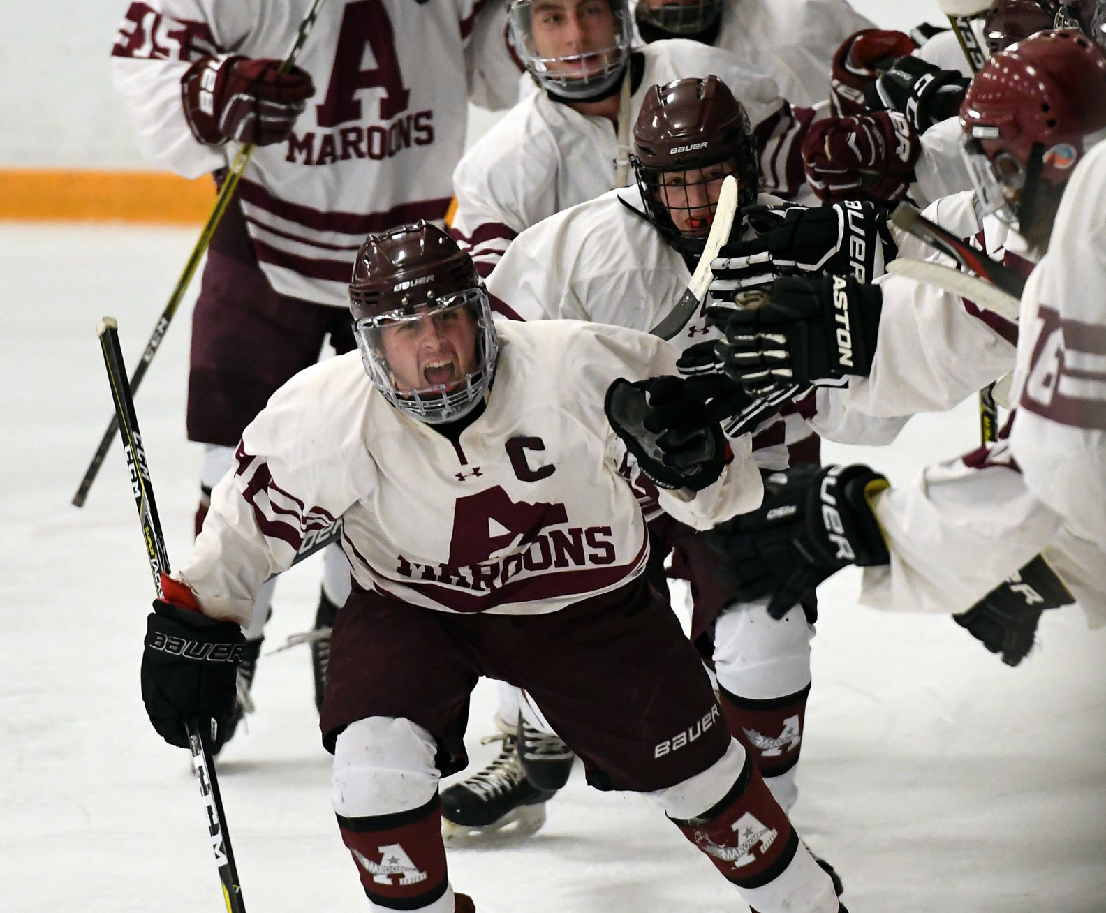 Auburn Skaneateles Hockey 3.JPG